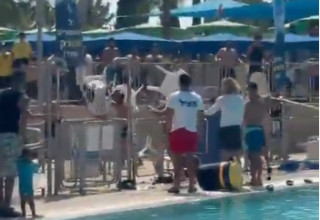 קטטה המונית בימית 2000 בחולון, השלכת כיסאות (צילום: צילום מסך רשת X)