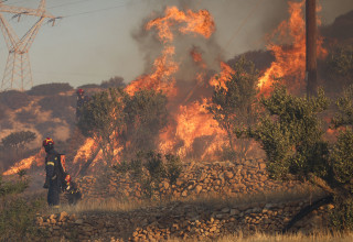 שריפה בכרתים (צילום: Metaxakis / AFP via Getty Images)
