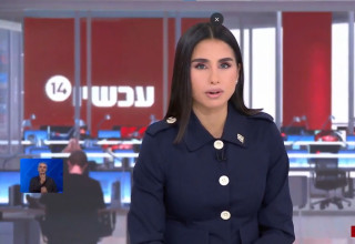 מגי טביבי (צילום: צילום מסך ערוץ 14)