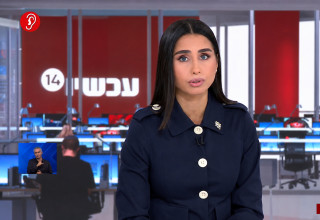 מגי טביבי (צילום: צילום מסך ערוץ 14)