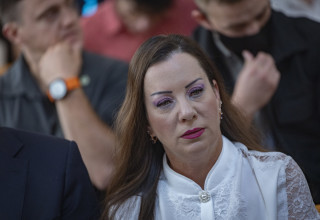 טלי גוטליב (צילום: חיים גולדברג, פלאש 90)