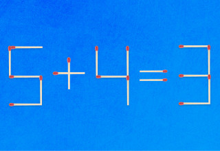 חידה (צילום: צילום מסך)