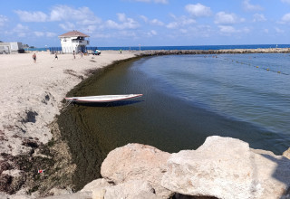 חוף בת גלים (צילום: יובל בוסין)