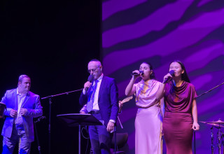 ערב תמיכה מיוחד בישראל ובארגון "שלווה" בוינה (צילום: ג'וש ארונסון)