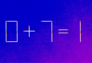 חידה (צילום: צילום מסך)