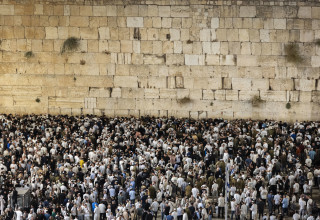 סליחות בכותל (צילום: חיים גולדברג פלאש 90)