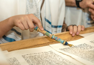 תמונה לטור של כרמית (צילום: יהב גמליאל פלאש 90)