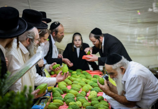 שוק ארבעת המינים (צילום: חיים גולדברג פלאש 90)