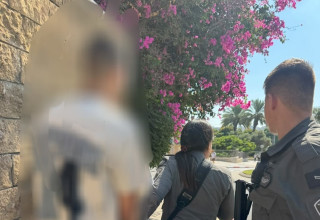 מעצר החשודים באירוע (צילום: דוברות המשטרה)