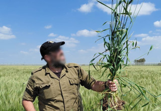 פלוגת המילואימניקים (צילום: דובר צה"ל)