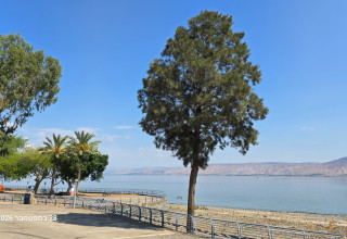 הכנרת ריקה בחול המועד סוכות (צילום: אושרי ויצמן חדשות טבריה והסביבה)