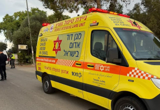 התאונה סמוך לברור חיל (צילום: מד"א)
