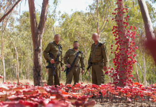 מפקדי מל"י (צילום: דובר צה"ל)