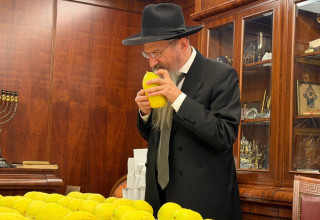 מערך הכנסת האורחים ברוסיה (צילום: לוי נאזרוב)