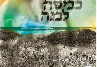 עטיפת הספר כביסה לבנה (צילום: יח"צ)