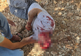 אירוע אלימות בכפר אוסרין (צילום: רשתות ערביות)