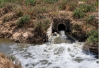 שפכים נשפכים לנחל חברון (צילום: צילום מסך רשת X)