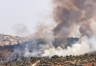 שריפת עצי זית באיו"ש (צילום: רשתות חברתיות, שימוש לפי סעיף 27 א')