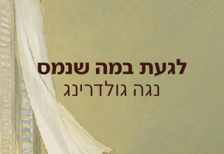 "לגעת במה שנמס" / נגה גולדרינג (צילום: יצירה עברית)