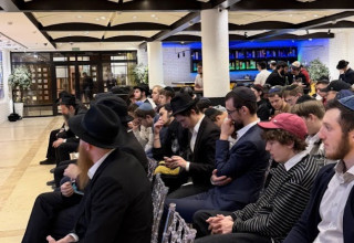 רעיון בן 100 שנה קם לתחייה (צילום: קהילות יהודיות במוסקבה)