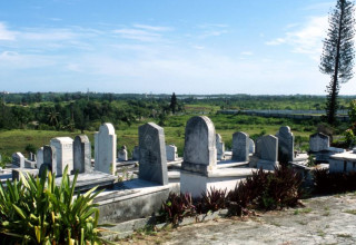 בית עלמין (צילום: פלאש 90)