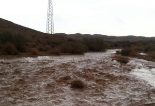 שיטפונות בדרום הארץ (צילום: יובל שגיא, רשות הטבע והגנים)