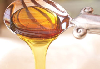 דבש (צילום: פסגת המעודכנים)