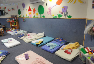 צהרון, אילוסטרציה (צילום: ראובן קסטרו)