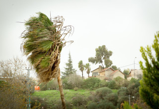 רוחות בבית אל, ארכיון (צילום: הלל מאיר/TPS)
