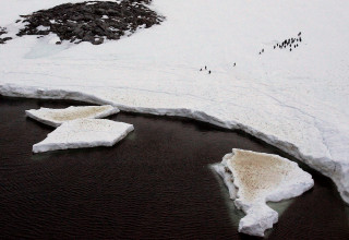 אנטרקטיקה  (צילום: רויטרס)