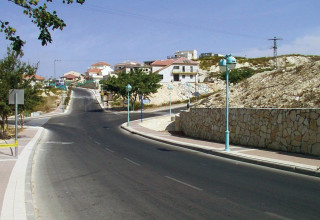 קדומים  (צילום: אריאל בשור)