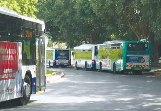 אוטובוסים (אילוסטרציה) (צילום: אבשלום ששוני)
