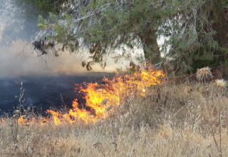 שריפה בעוטף עזה - טרור העפיפונים (צילום: טל לב רם)