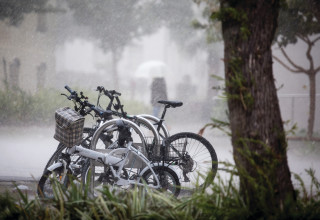 אופניים חשמליים (צילום: נתי שוחט, פלאש 90)