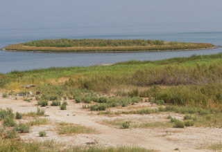 האי בכנרת (צילום: פלאש 90)