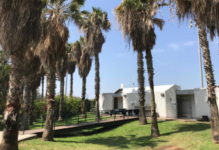 פארק הירקון (צילום: אבשלום ששוני)