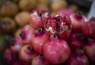 רימונים  (צילום: הדס פרוש, פלאש 90)