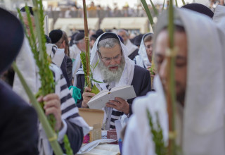 תפילת חג הסוכות בכותל המערבי (צילום: הלל מאיר/TPS)