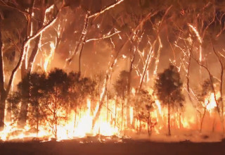 שריפות בדרום מזרח אוסטרליה (צילום: רויטרס)