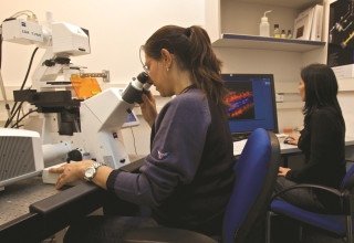 מדענים במכון ויצמן (למצולמים אין קשר לכתבה) (צילום: דורון הורוביץ, פלאש 90)