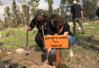 עץ לזכרה של מאיה ווישניאק ז"ל (צילום: מערך ההסברה קק"ל)