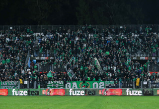 אוהדי מכבי חיפה (צילום: מאור אלקסלסי)