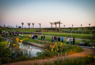 טיולים בארץ (צילום: אורי אהרון)