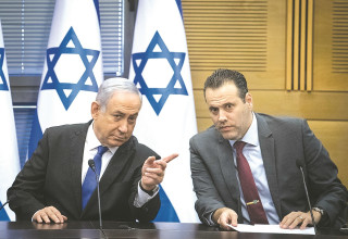 מיקיז וביבז (צילום: הדס פרוש, פלאש 90)