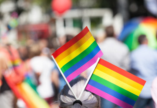 דגלי הלהט"ב (צילום: אינגאימג')