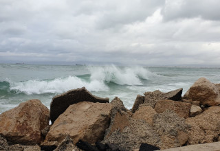 מזג אוויר סוער בחיפה (צילום: רביד חכמון/TPS)