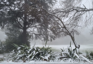 שלג בעין זיוון (צילום: תיירות עין זיוון)