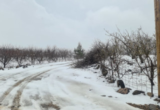 שלג בצפון רמת הגולן (צילום: רשות ניקוז ונחלים כינרת)
