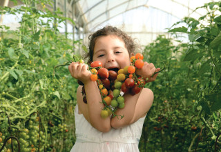 שביל הסלט (צילום: מיטל סטרז)
