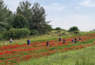 מטיילים בפארקי קק"ל (צילום: עובדי ויערני קק״ל)